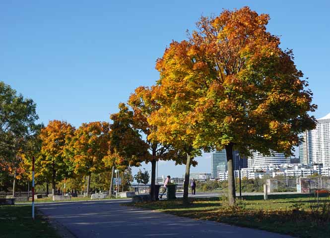 Donauinsel