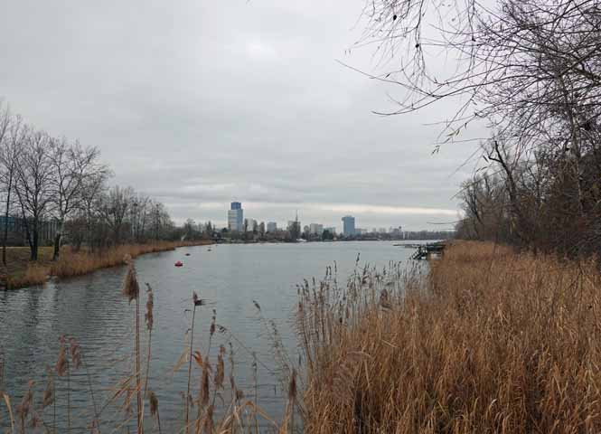 Alte Donau