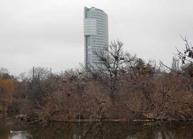 Floridotower