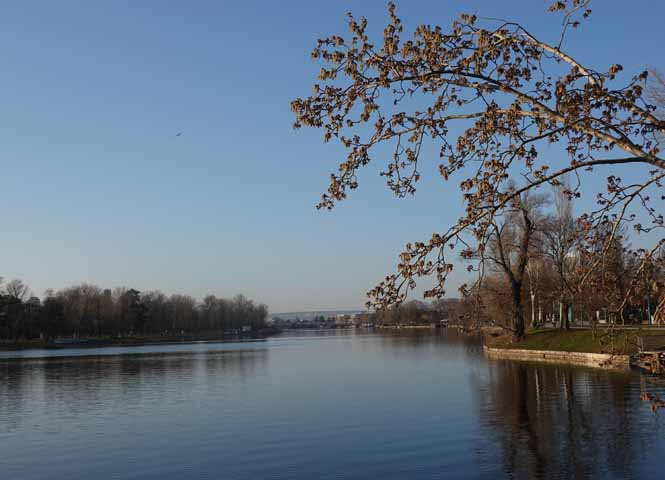 Alte Donau