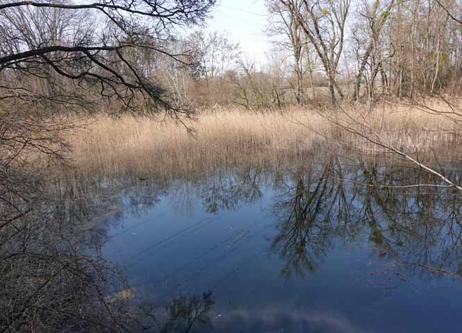 Oberleitner Wasser