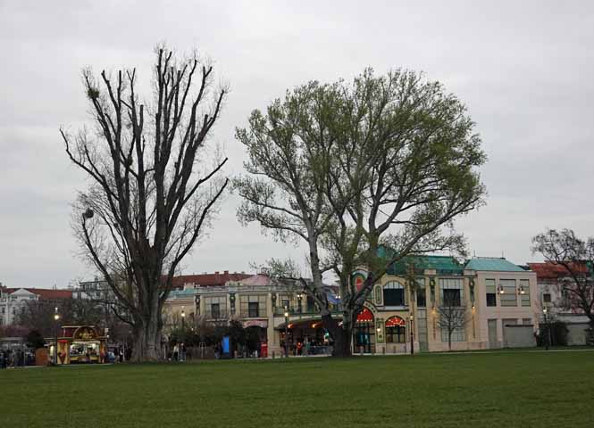 Prater