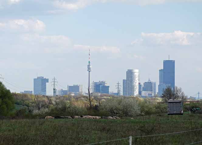 Donauinsel