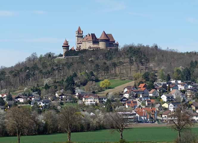 Foto des Tages
