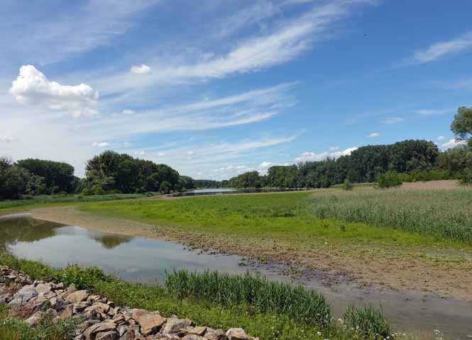 Kühwörther Wasser