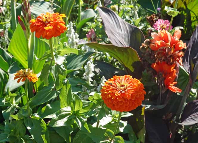 Blumen