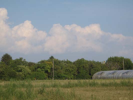 Foto vom 6. Juli 2011 - An der Schanze