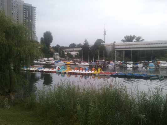 Foto vom 21. Juli 2011 - Alte Donau
