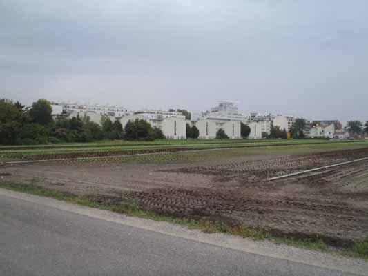 Foto vom 1. September 2011 - Donaufeld