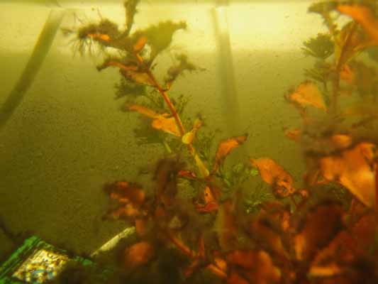 Foto vom 17. Oktober 2011 - Aquarium